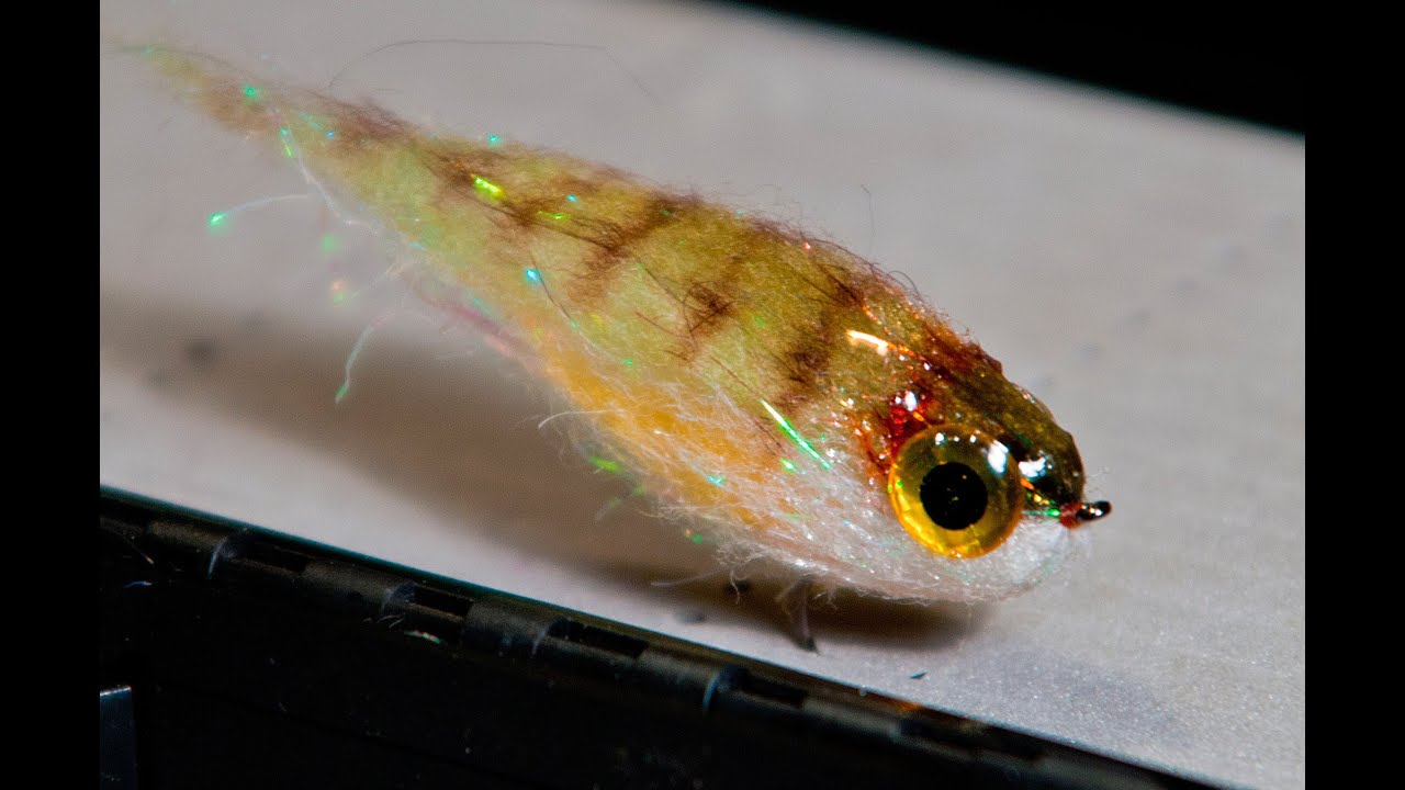 Fat Head Squishy Streamer -  UNDERWATER Footage! - Perch streamer fly pattern