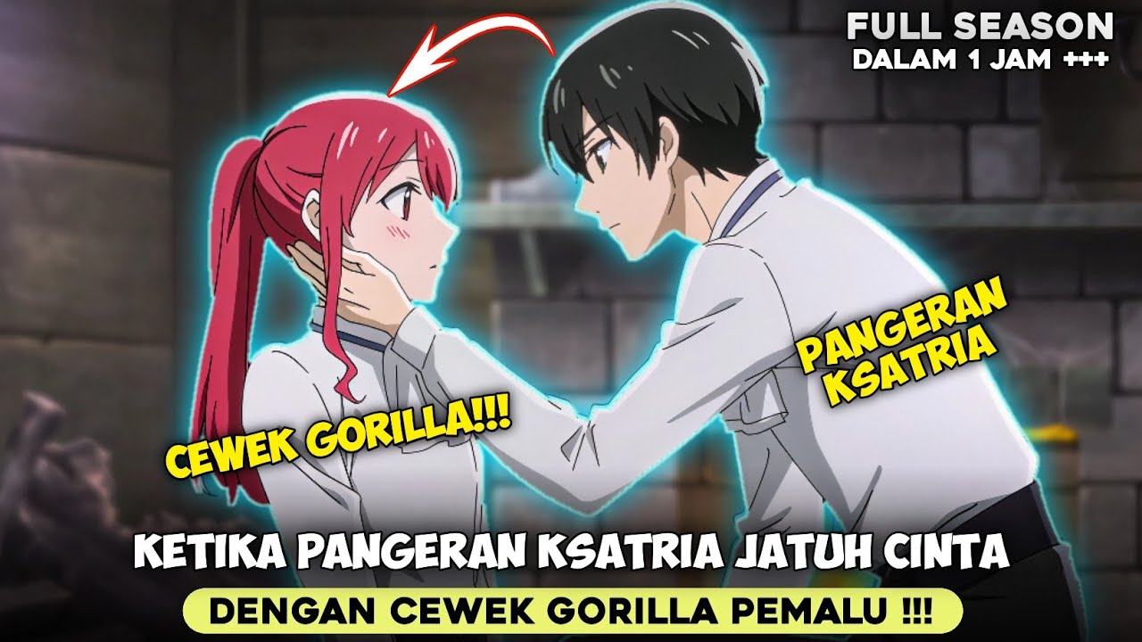 SELURUH ALUR CERITA ANIME GORILLA NO KAMI SEASON 1 - KETIKA KSATRIA JATUH CINTA DENGAN CEWEK GORILLA