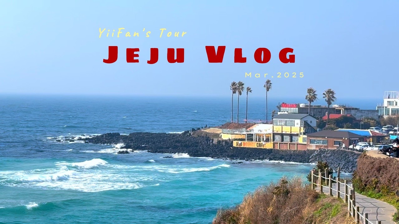 济州Vlog  是海很蓝天很晴风很大的春天 海岛上的杂货店吃到宝藏餐厅深夜小酒馆海女之家的鲍鱼粥黑猪烤肉紫色屋顶咖啡店海边发呆日常 哔哩哔哩