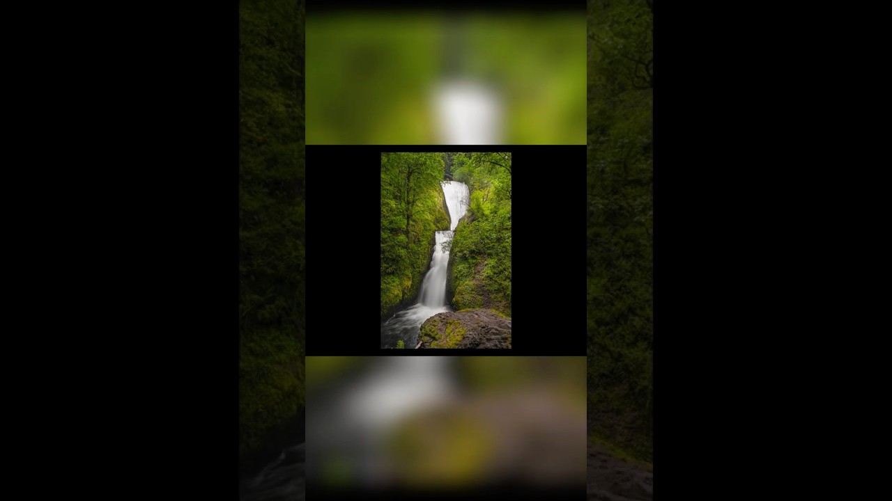 Oregon Road Trip: Waterfall Exploration and the Waterfall Shuffle! #shorts