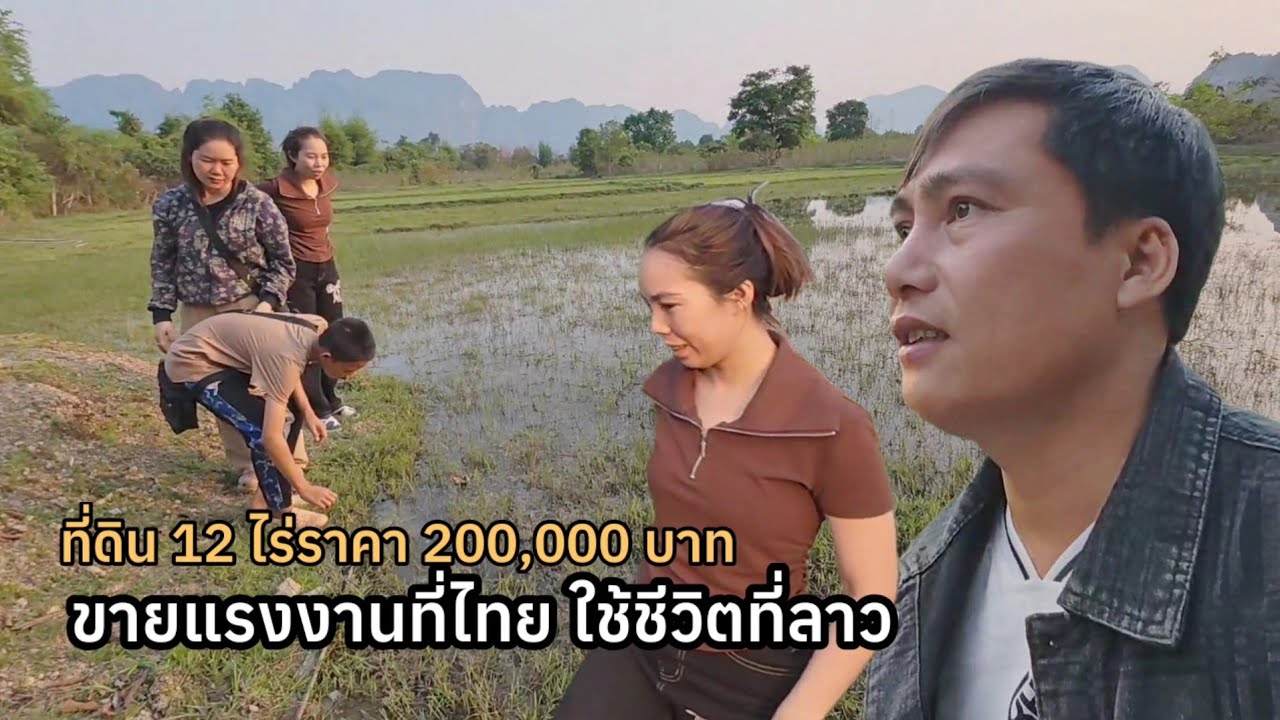 ขายแรงงานที่ไทยใช้ชีวิตที่ลาว ดูที่ดิน12ไร่​ที่ลาวราคา​200,000 บาท