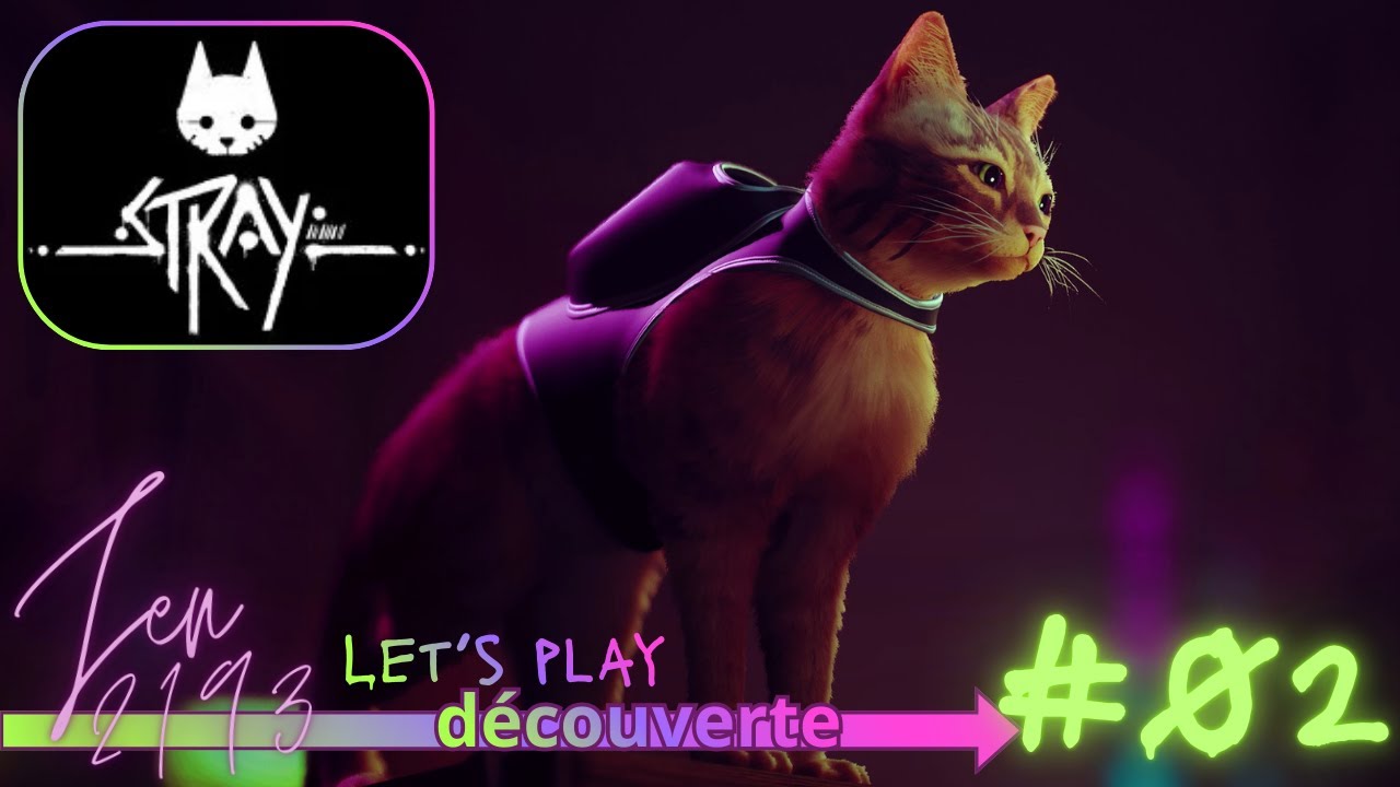 STRAY 🐾 - Let's play découverte ✨ #02 | PS5