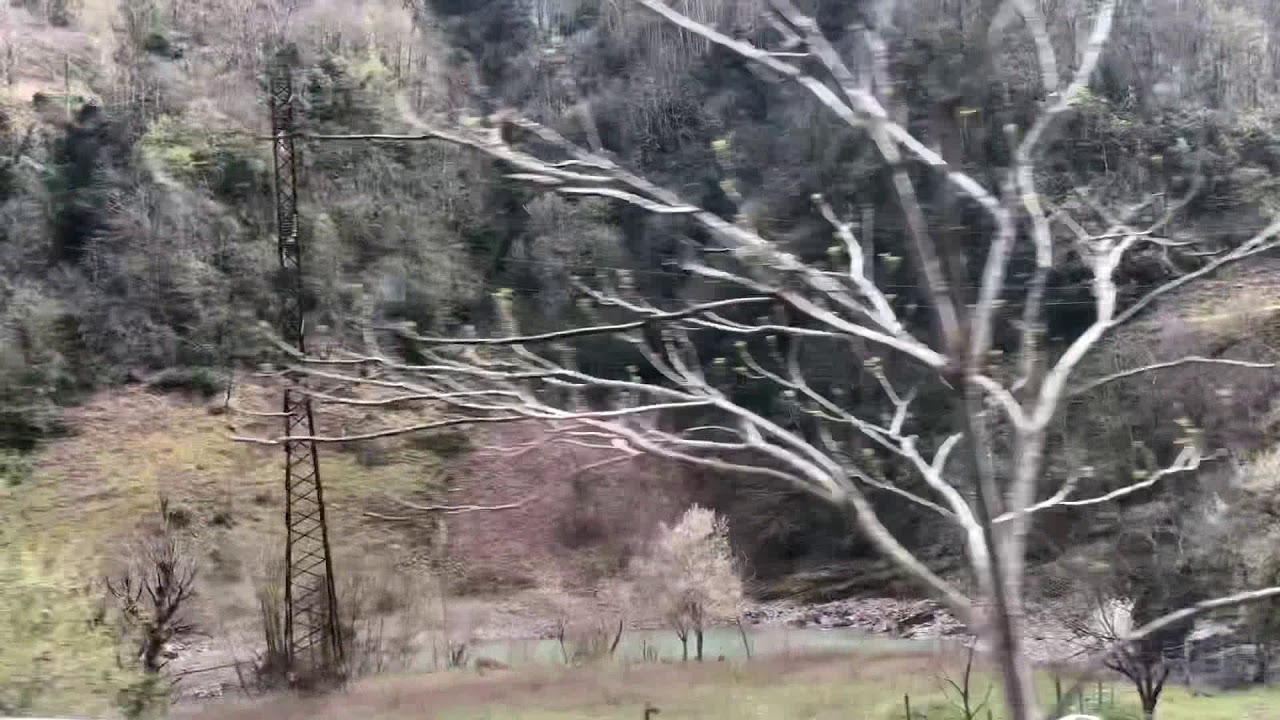 🍀КЕДА🍀QEDA🍀ქედა🍀Грузия Аджария 🍀Georgia Adjara 🍀тур по Грузии |жизнь в Грузии |Milk ky 🌹