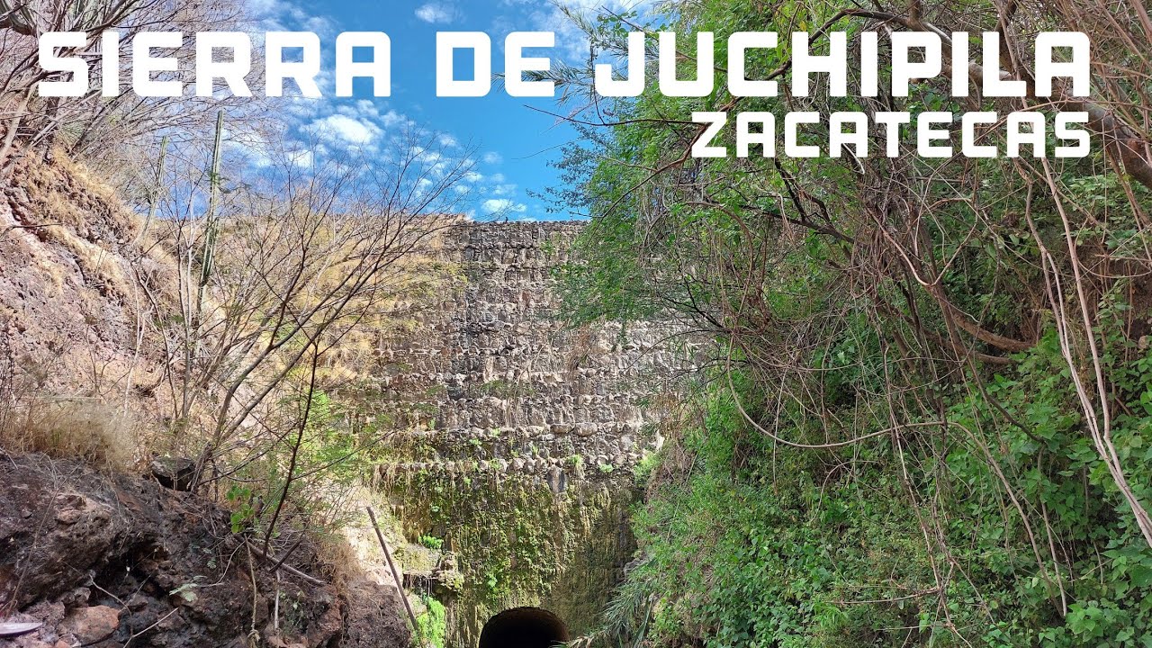 SIERRA DE JUCHIPILA - Zacatecas - México - Escenas Naturales