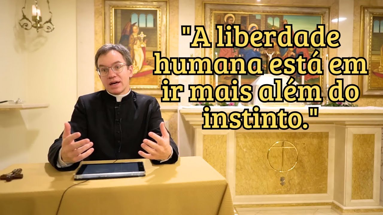 Como Controlar as Paixões e Viver uma Vida Ordenada! - Pe. Pedro Willemsens