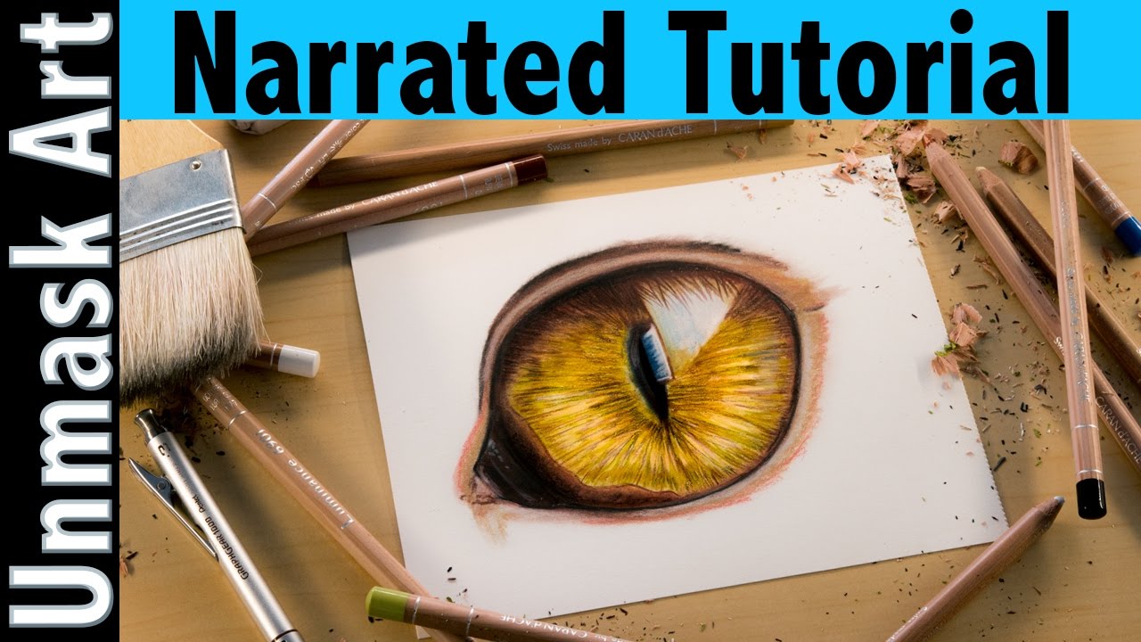 How to Color a Cat Eye | Narrated Tutorial