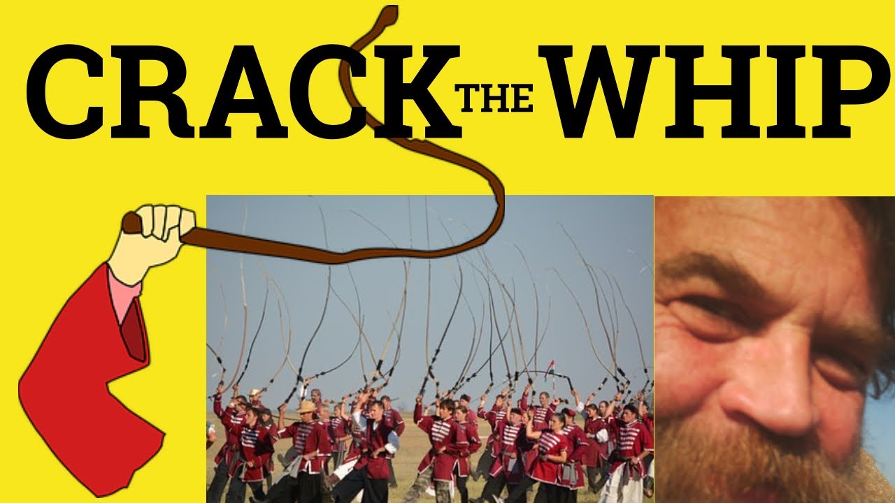 🔵 Crack the Whip - Fair Crack of the Whip - Meaning - Crack the Whip Examples - English Idioms
