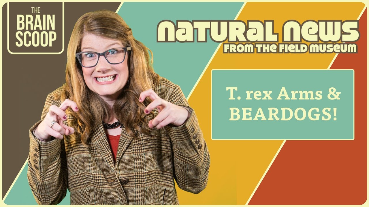 T. rex Arms & BEARDOGS! | Natural News from The Field Museum | Ep. 6