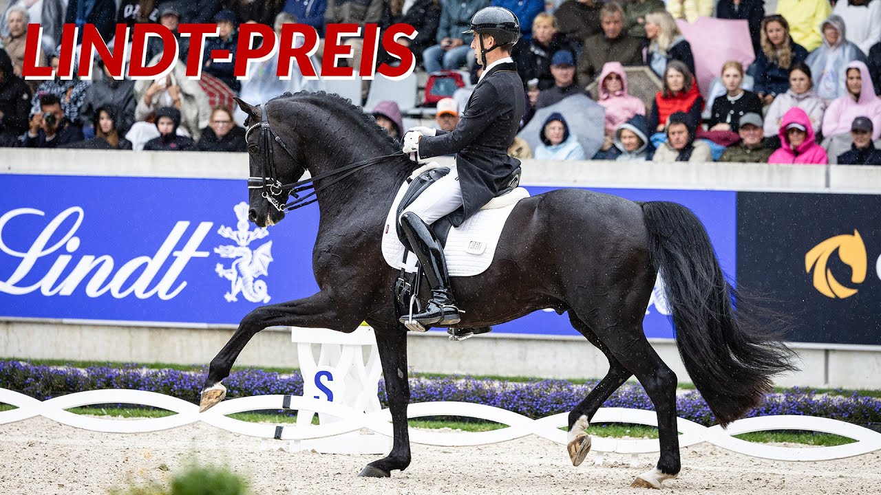 Was für eine Kür! Justin Verboomen & Zonik Plus siegen beim Lindt-Preis 🥇 | CHIO Aachen 2025 Finale