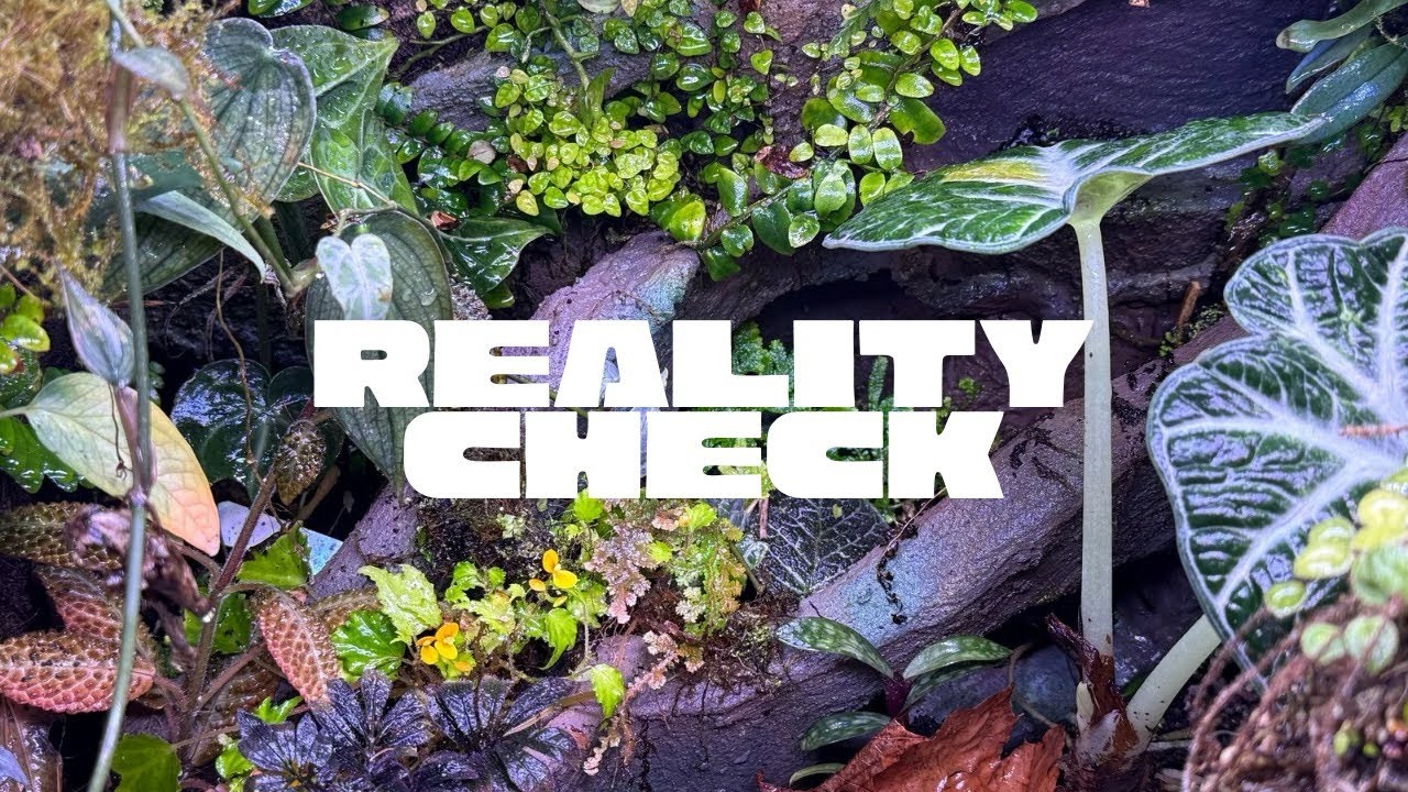 What Clean-Up Crews Actually Do (And What They Don’t) 