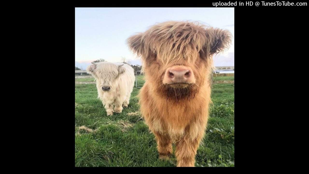 (Free) Roblox corex lieu type beat-Украли робуксы
