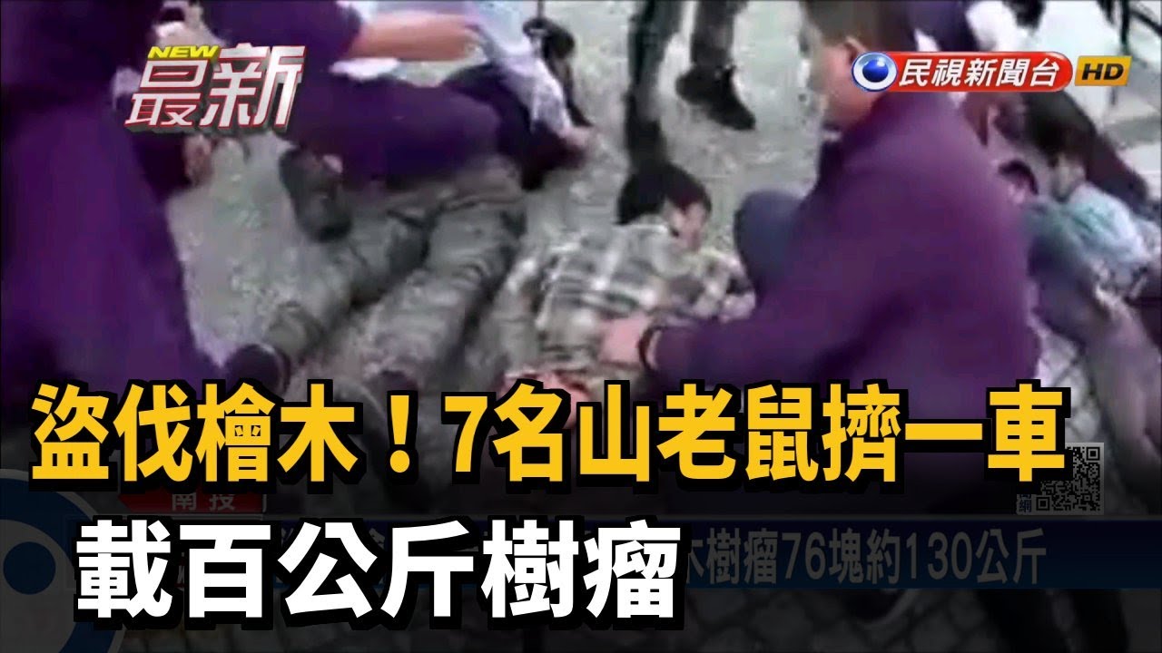 盜伐檜木!7名山老鼠擠一車 載百公斤樹瘤－民視新聞