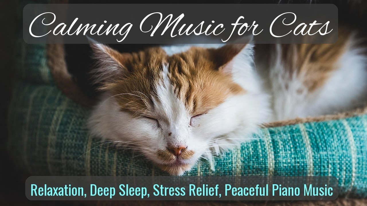 Calming Music for Cats - Relaxation, Deep Sleep, Stress Relief, Peaceful Piano Music | Season 90