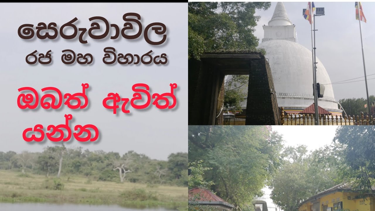 Day 011 සෙරුවාවිල |රජමහ විහාරය වන්දනා කරමු #srilanka#beautiful #viral#viralvideo#tranding#travel