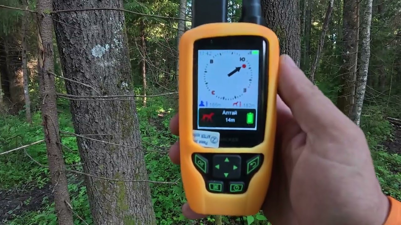 Отзыв охотника Игоря Светлова о GPS-ошейнике