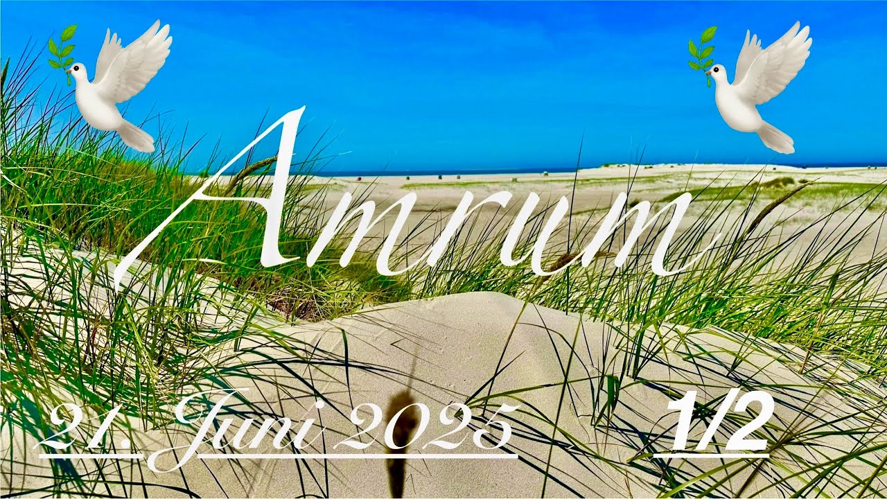 Insel Amrum 💞 Sommer Sonnenwende Tag 🥰 Teil 1/2