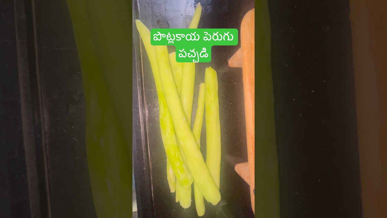 Village Style Potlakaya Perugu Chutney | Quick & Authentic South Indian Recipe