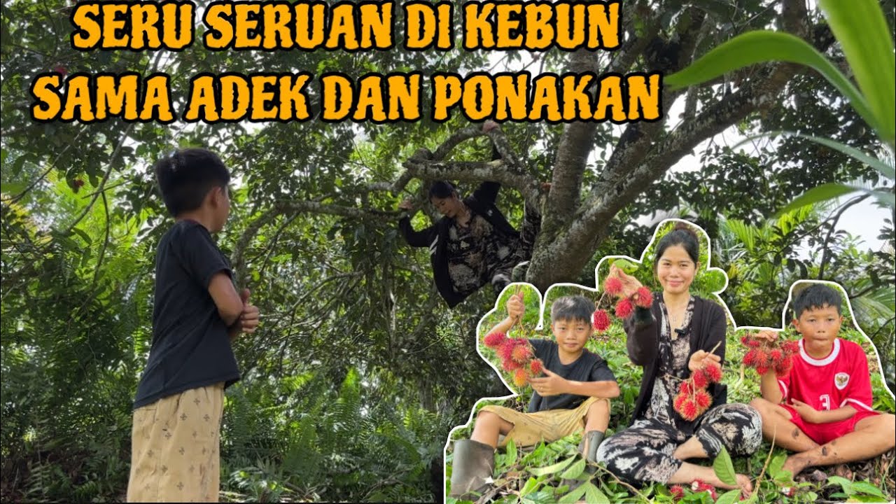 KEKEBUN GALI CACING TANAH DAN PANJAT POHON RAMBUTAN MILIK KELUARGA BESAN