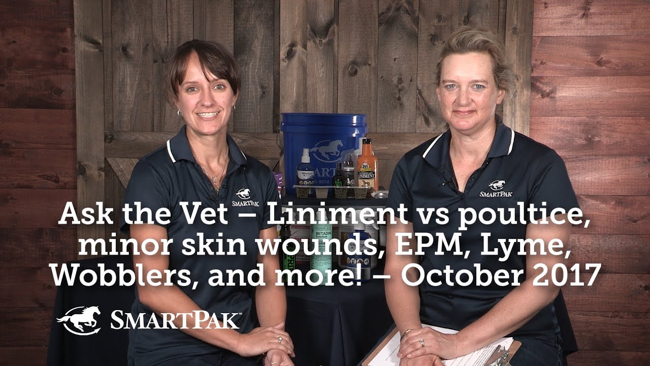 Ask the Vet – Liniment vs poultice, minor skin wounds, EPM, Lyme, Wobblers, and more! – October 2017