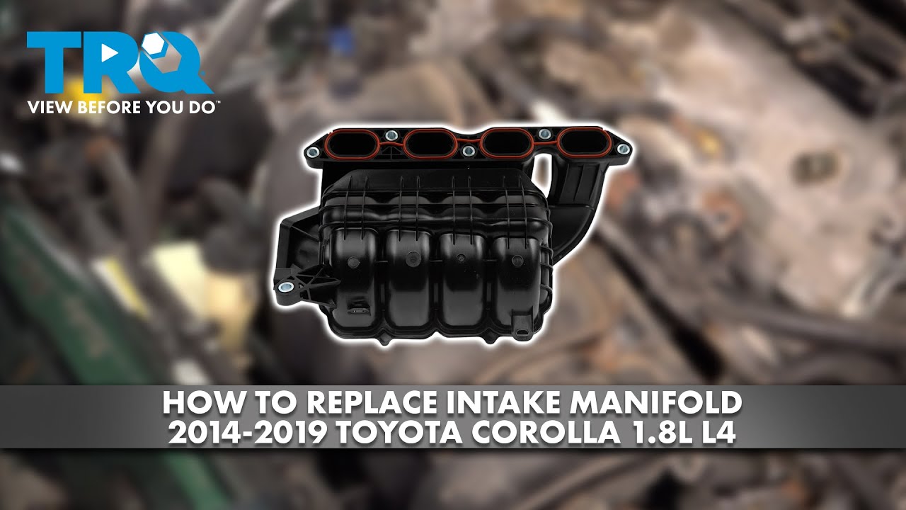 How to Replace Intake Manifold 2014-2019 Toyota Corolla 1.8L L4