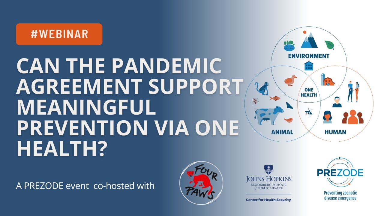 Webinar - Can the pandemic agreement support meaningful prevention via One Health?
