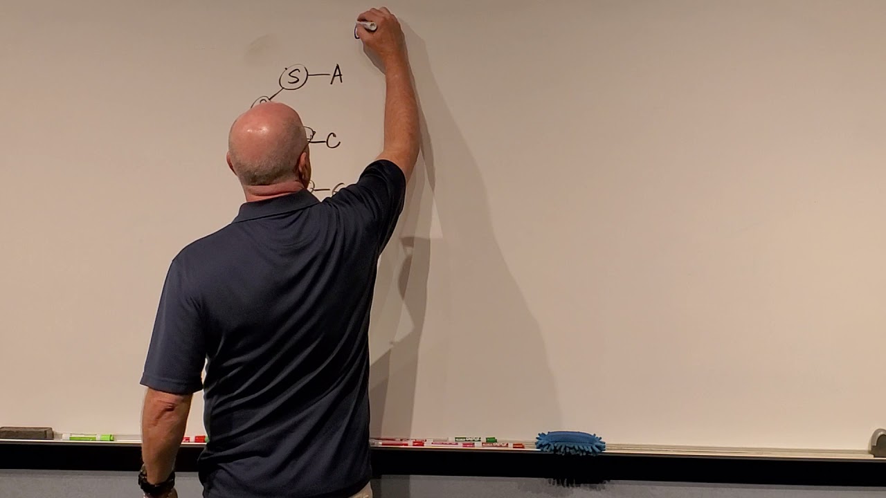 Micro Ch 8, DNA Structure and Replication