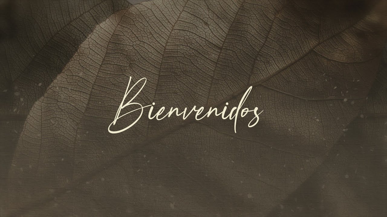 Consuelo para un corazón turbado Jn 14 1-14 | 26 de Octubre 2025