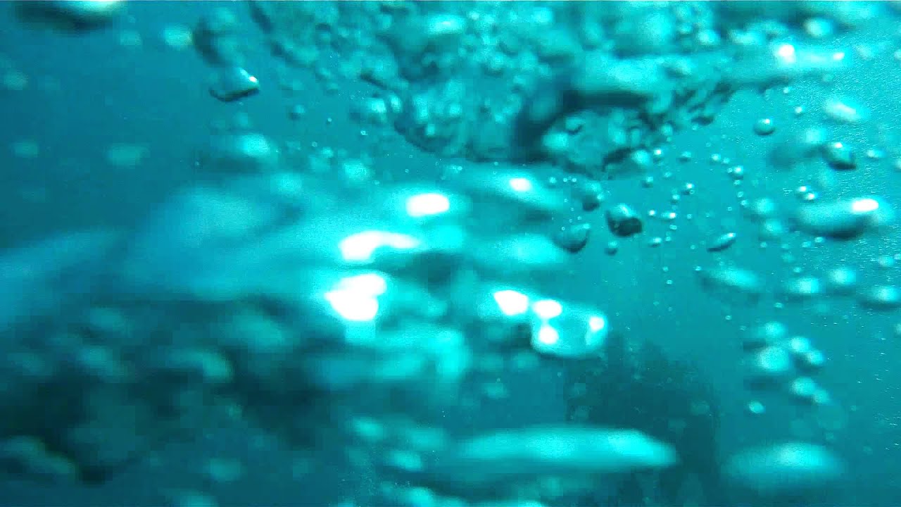 Diver run out of air and executed an Alternate Air Source Ascent