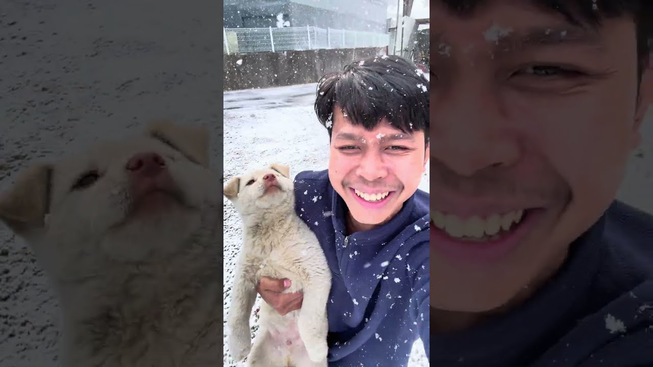 -13C• កកចានឆ្នាំងអស់❄️😂ពូចិត្រFunny 