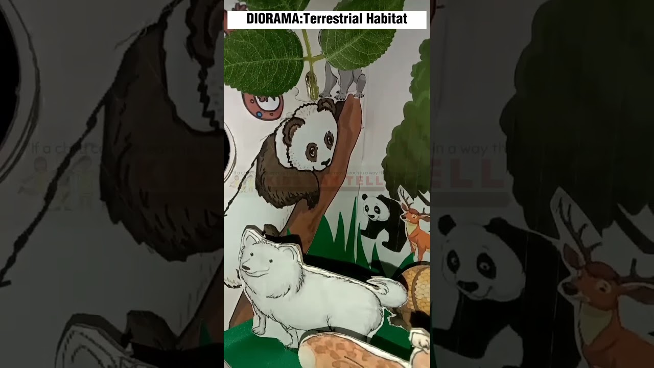 #kidscantell #fypシ #diorama #science #habitat #shorts #short #shortsvideo #teachaaaivy #shortsvideo