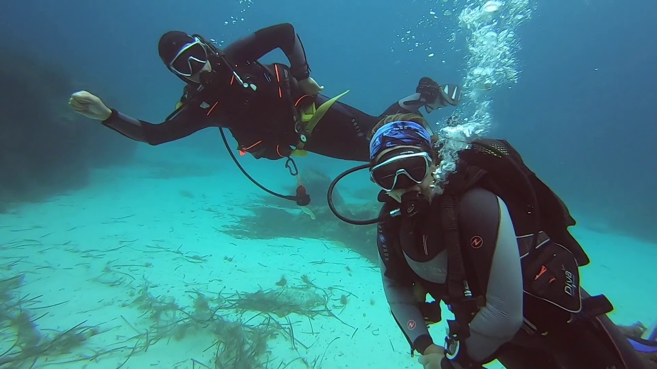 Crucero buceo en Ibiza y Formentera, con Belugavela Cruceros