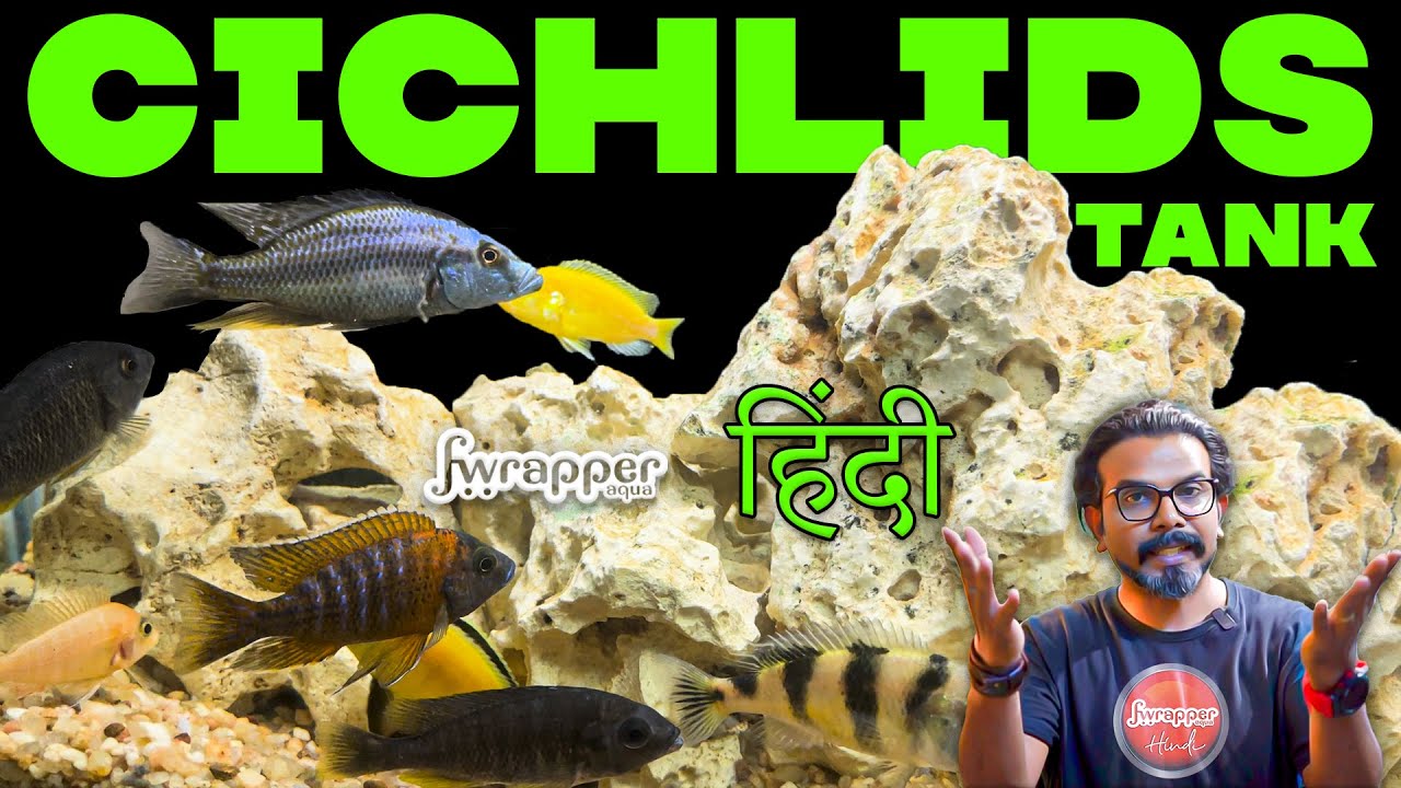 Cichlid Tank Setup Guide in HINDI : Beginner's Aquarium Tutorial