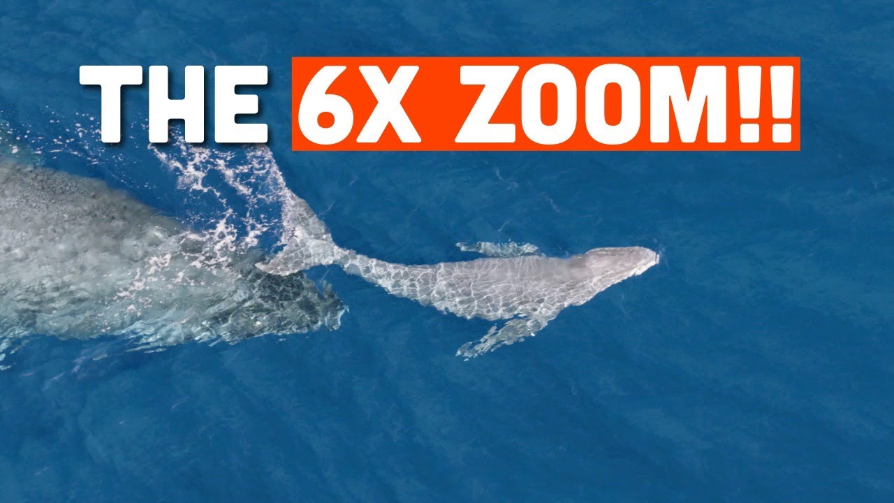 Why the Mavic 4 Pro is a Game Changer for Filming Whales
