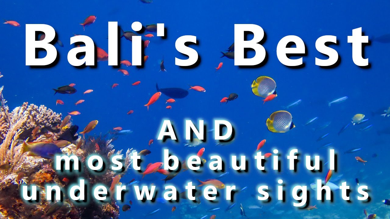 Most beautiful dive spots in Bali.