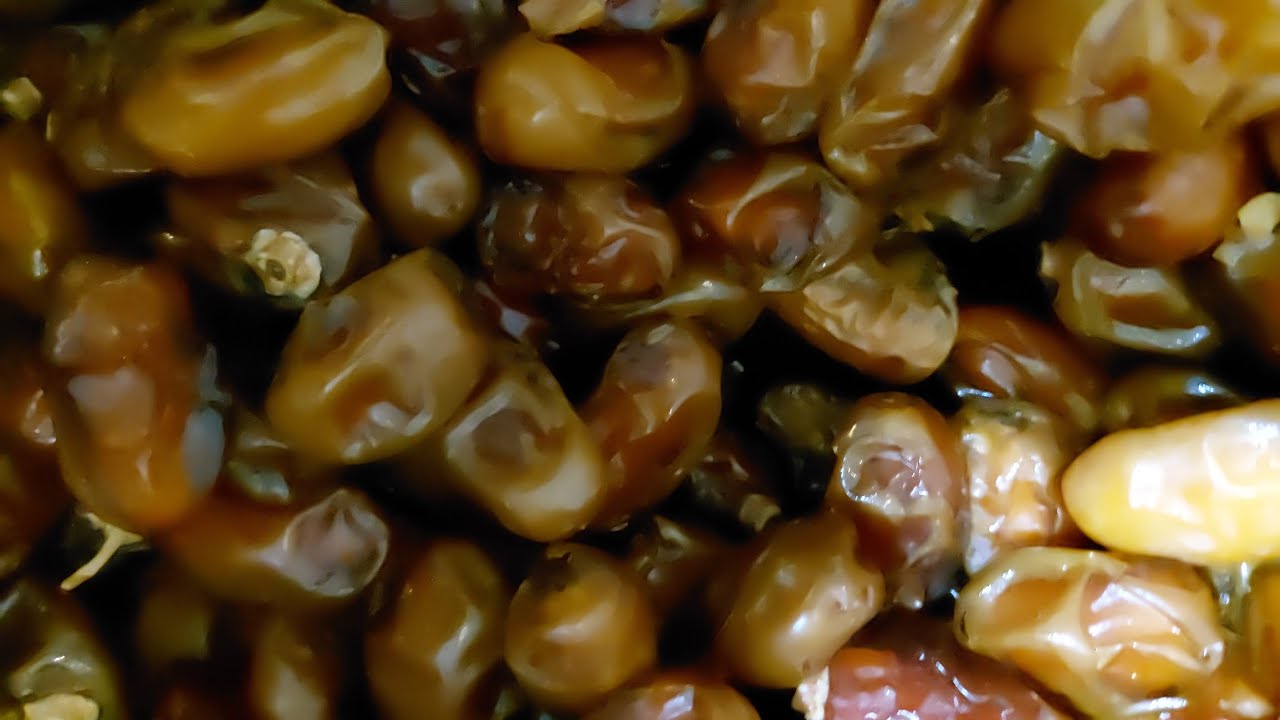 Dates and nuts | chocolates | tasty | viral | like and subscribe