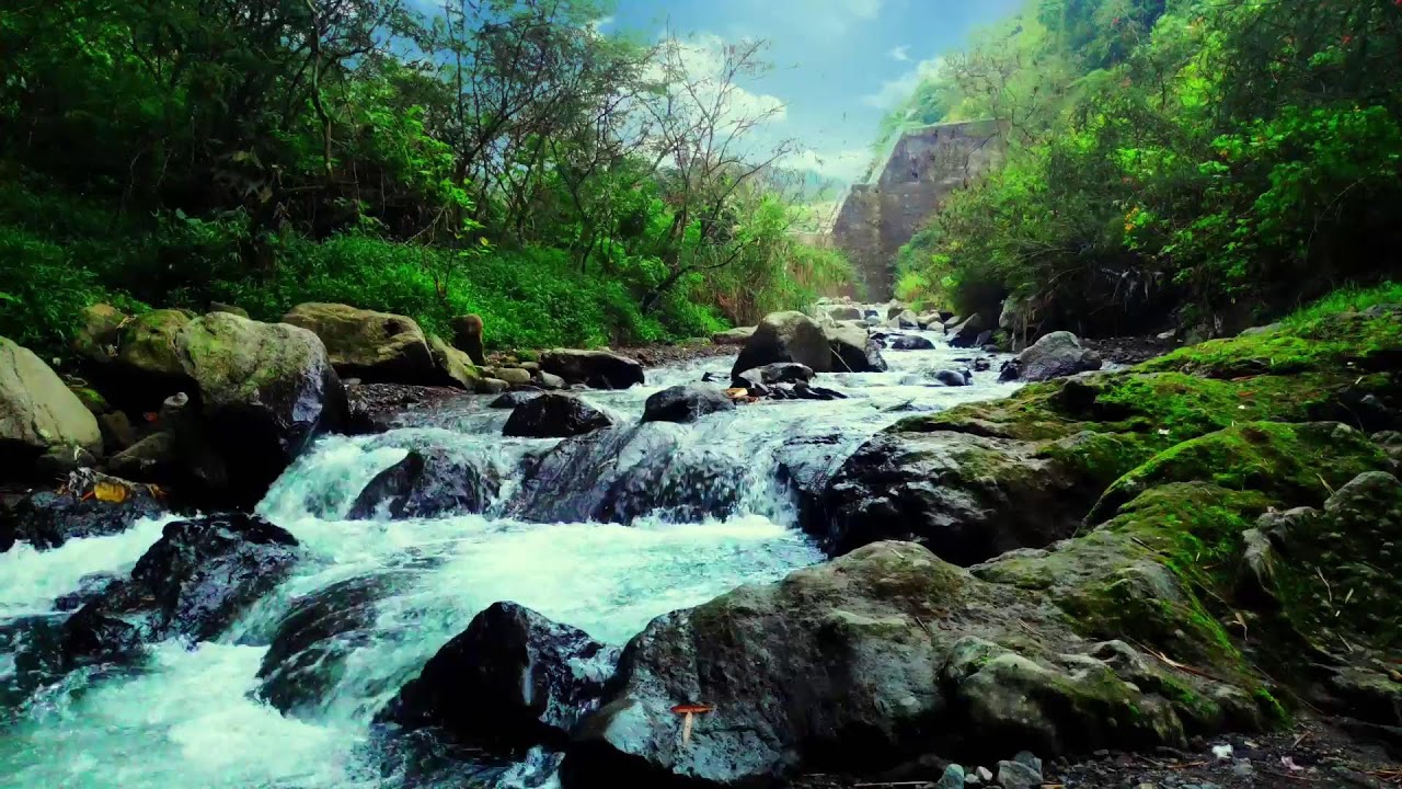 River Sound Relaxing – Gentle River Stream for Study, Work, Relaxation and Sleep