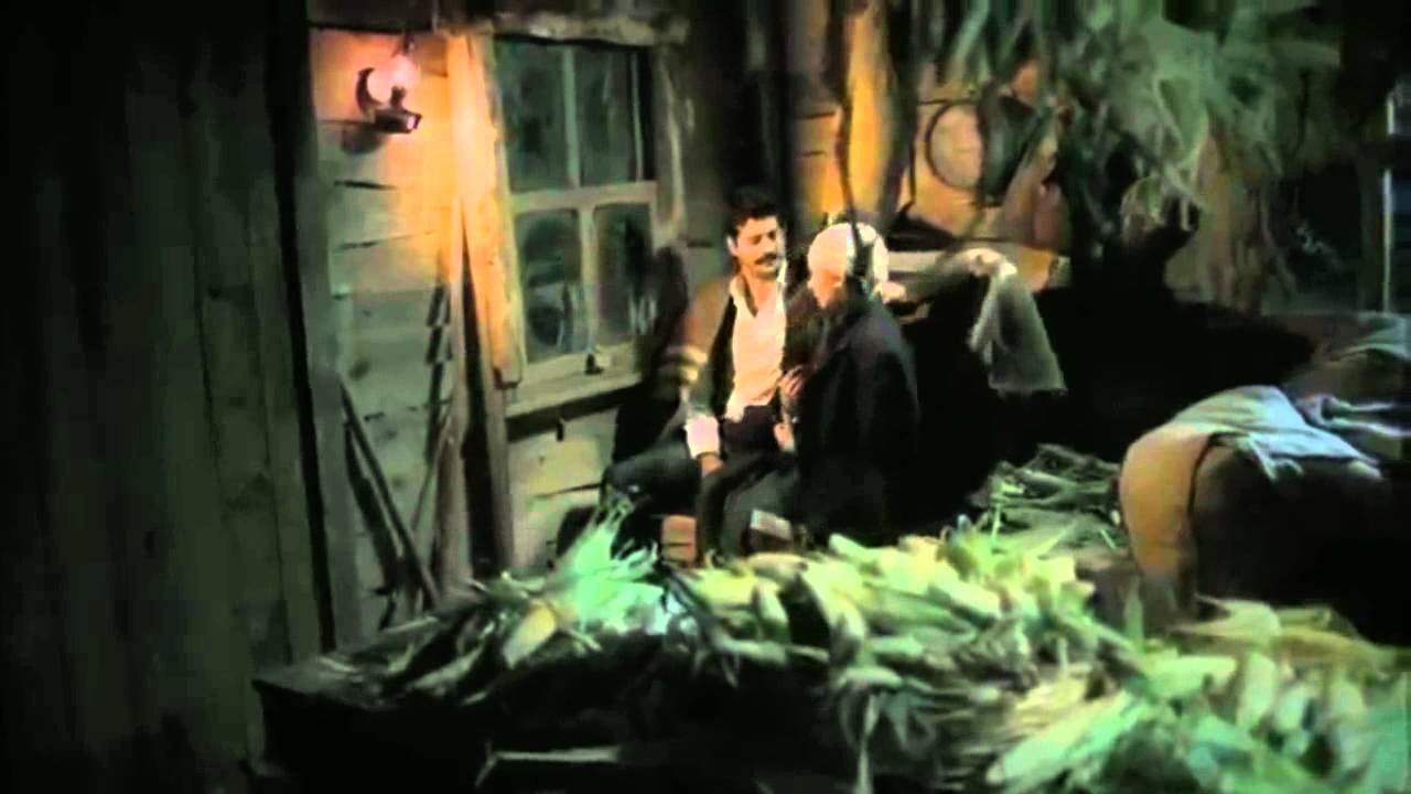 Çalıkuşu - Tek Başına (Feride Kamran)