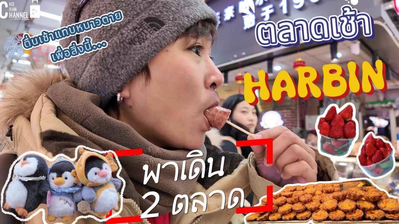 อย่าเพิ่งซื้อของฝากฮาร์บิน Harbin ถ้ายังไม่ดูคลิปนี้ -พาเดินดูของกินของฝาก 2 ตลาดฮาร์บิน