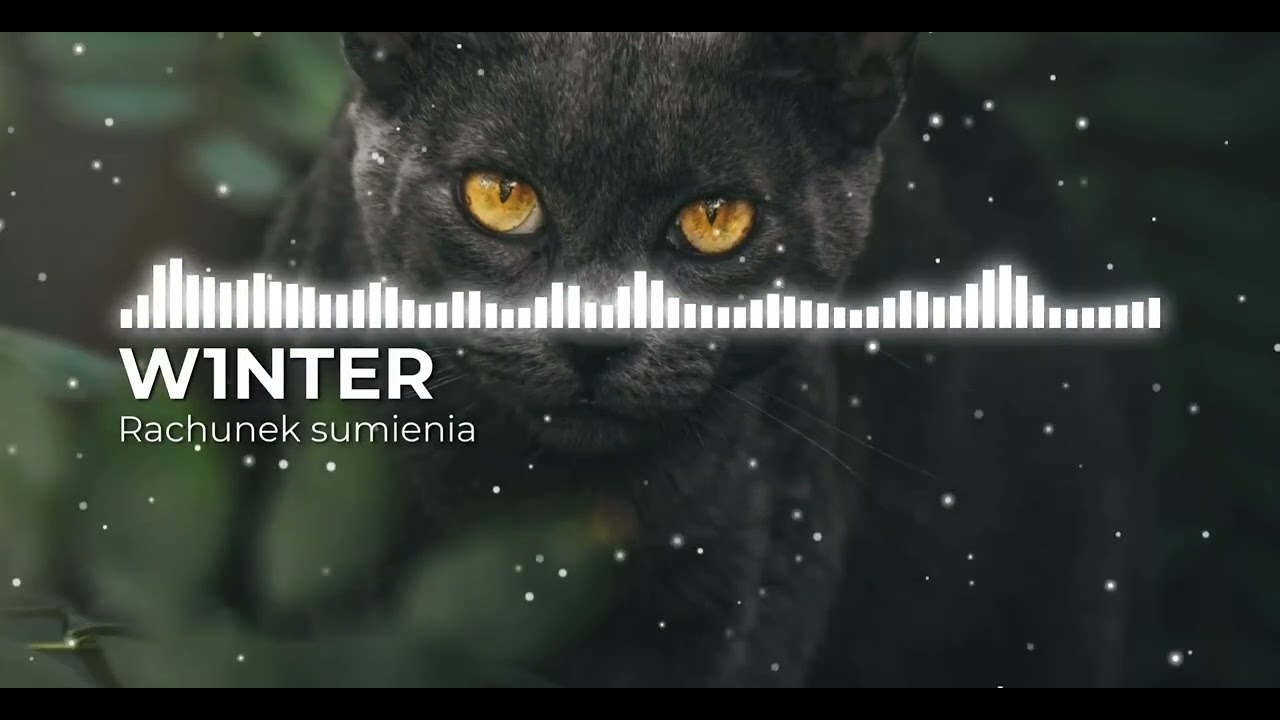 W1NTER - Rachunek sumienia(prod. FlowRecordsAI)