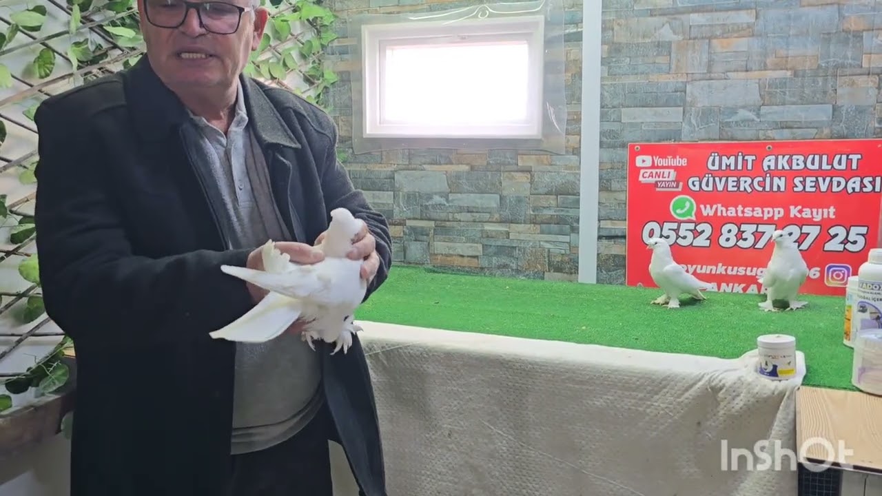Zabıta ilhan Abiden, Zabıta Kemaller, Şeref Ağalar,İnekci Muharrem,Şeref Ağalar Salı 21.00 da 