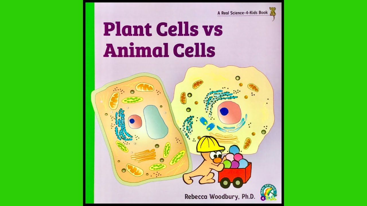 Plant Cells vs Animal Cells for kids book read aloud