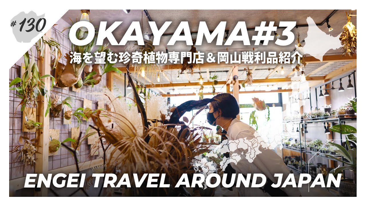 【岡山県#3】海を望む園芸店に出会いと感動が詰まっていた＆遠征戦利品の一挙紹介｜アガベ/塊根植物｜【ODD PLANTS】【園芸日本一周：vol19】