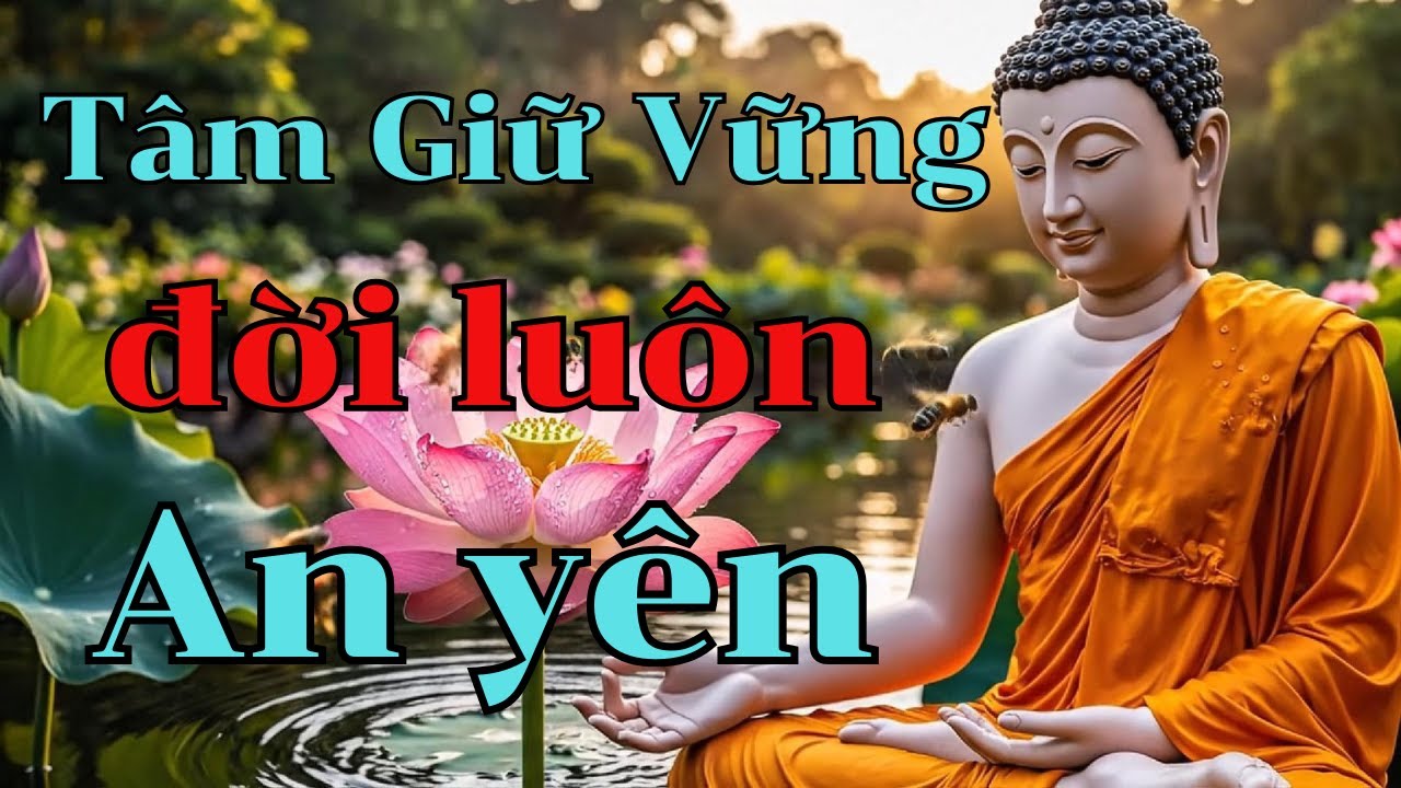 Tâm Vững Giữa Đời Không Phải Là Không Khổ – Mà Là Không Để Khổ Dẫn Mình Đi