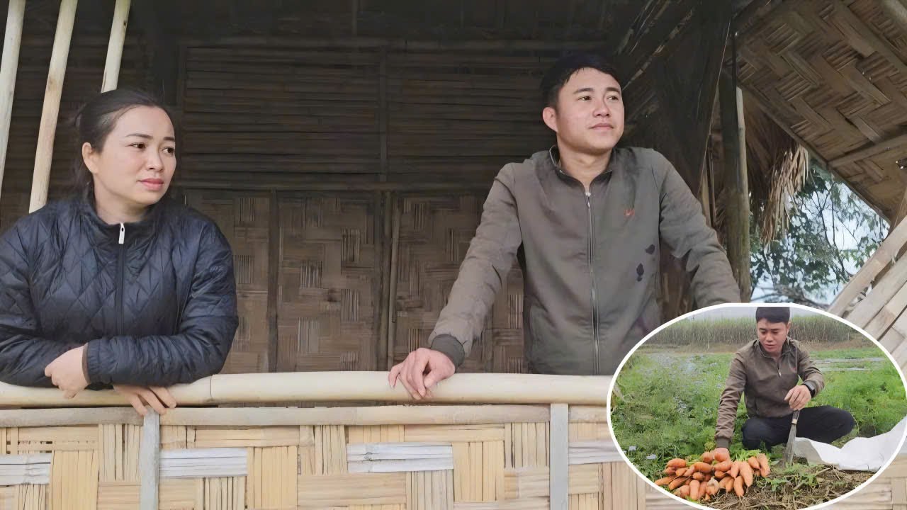 Собираю морковь и редис для продажи на рынке. Навещаю свою лучшую подругу.