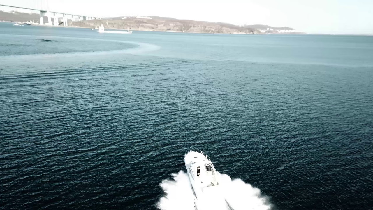 Sea Ray 310 test drive