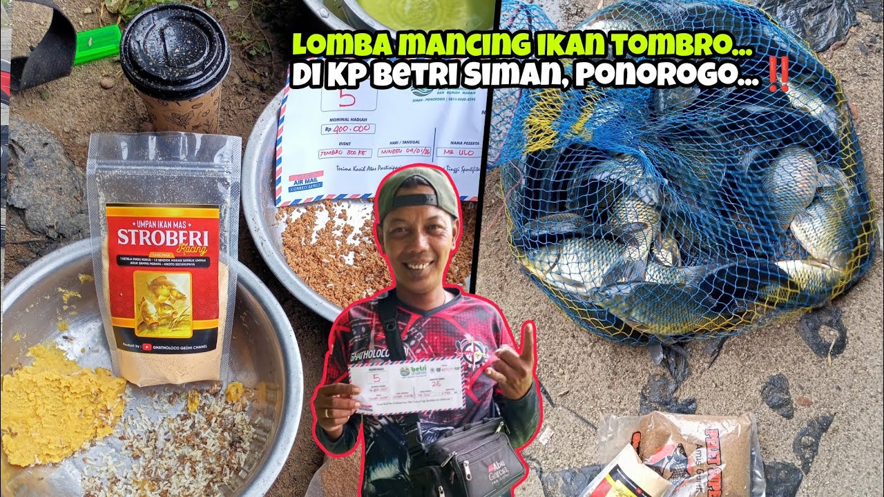 POIN NOMINASI 5 DAN PANEN IKAN TOMBRO,DI KP BETRI SIMAN‼️