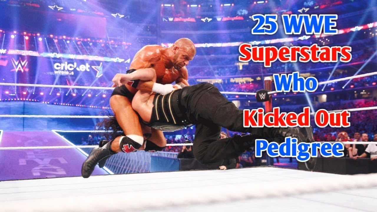 25 WWE Superstars Who Kicked Out Of Pedigree (HHH)FHD