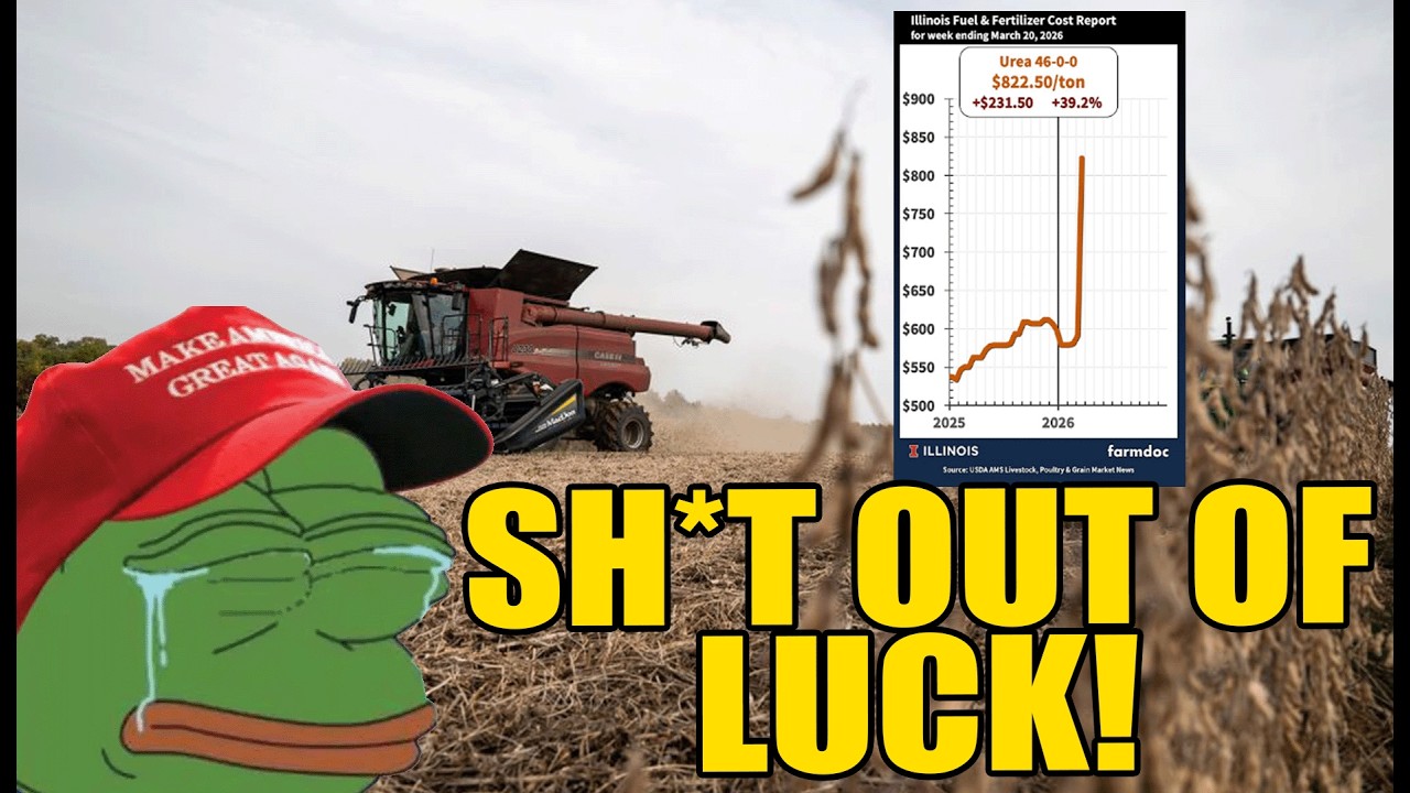 Central Illinois Voted For Trump. Now The Iran War Just Destroyed Their Harvest