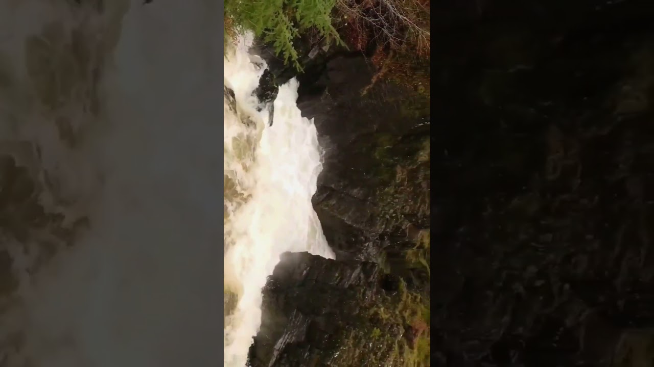 The Amazing Hermitage #waterfall #waterfallsscotland #scotland #Dunkeld #nature