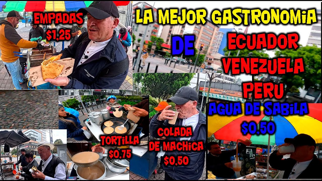 PROBANDO  COMIDA CALLEJERA  ECUATORINA  VENEZOLANA Y PERUANA  EN LA AV AMAZONAS QUITO